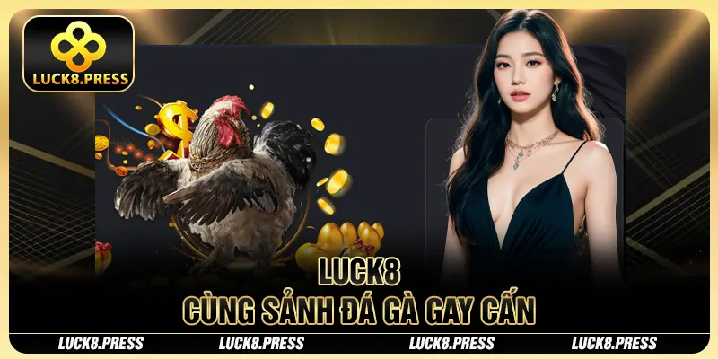 Luck8 30 Luck8 cùng sảnh đá gà gay cán